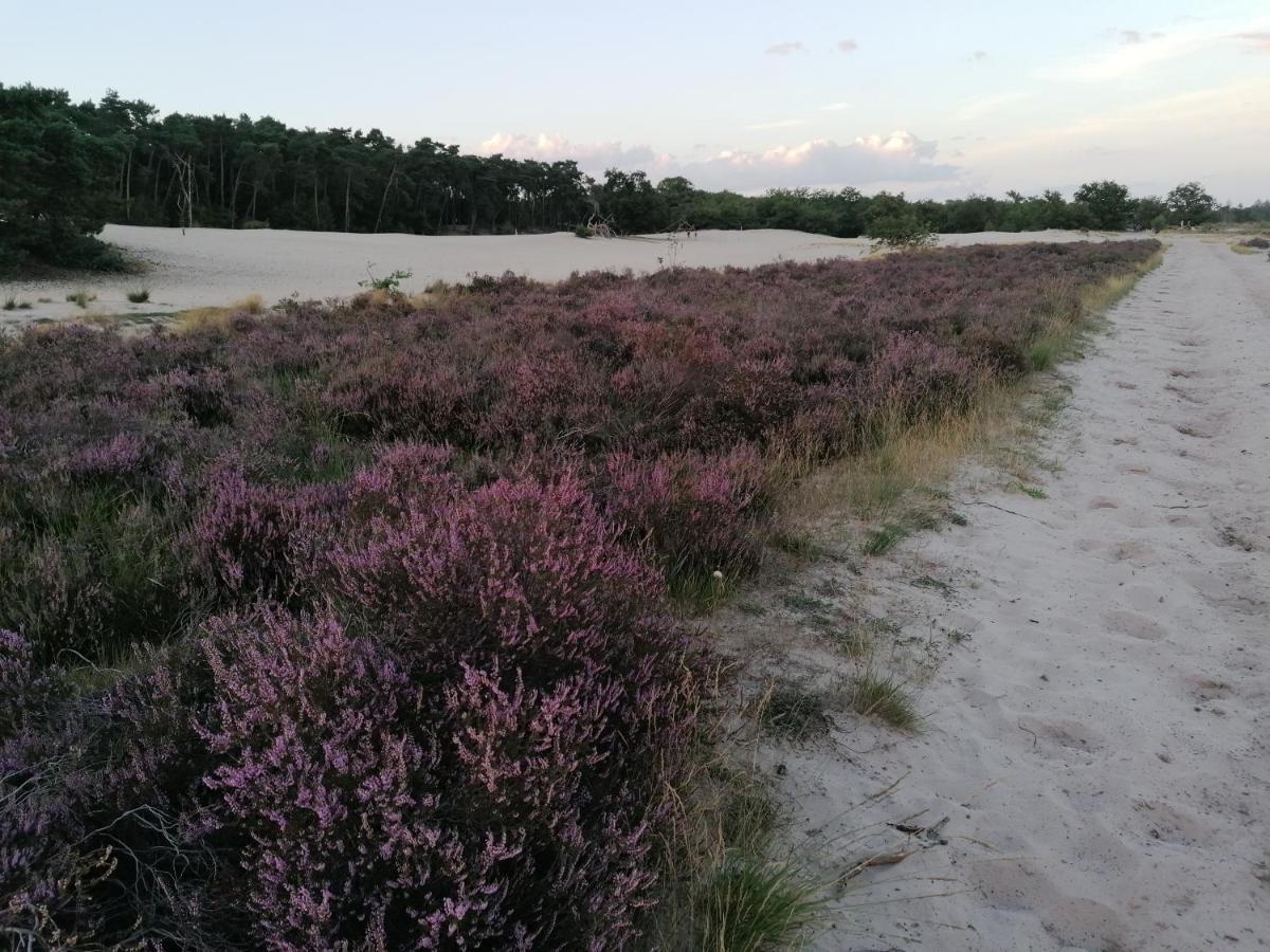 Vakantiehuis De Schaapskooi Drunen Zewnętrze zdjęcie